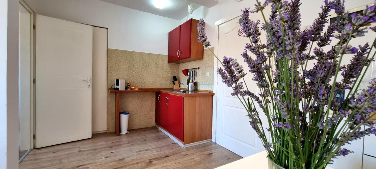 Tiny Studio Big Living Appartement Rovinj Buitenkant foto